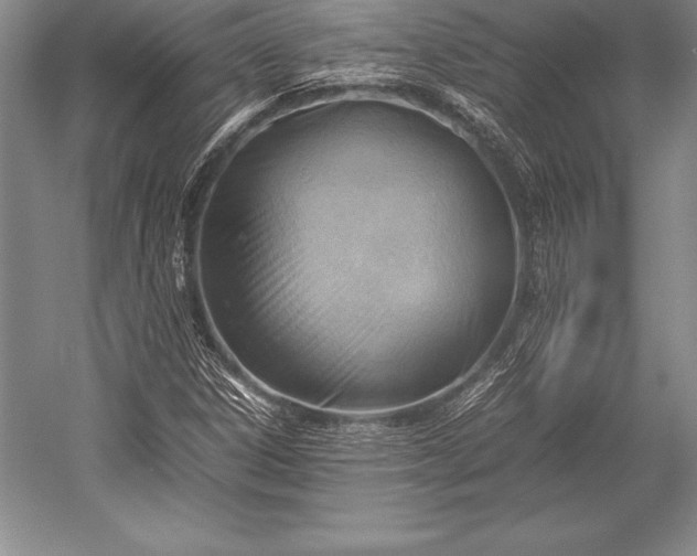 X0000052991306200507221210