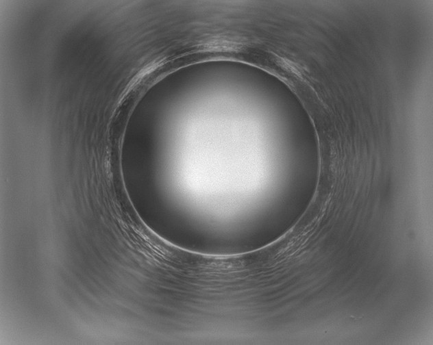 X0000052991307200507221210