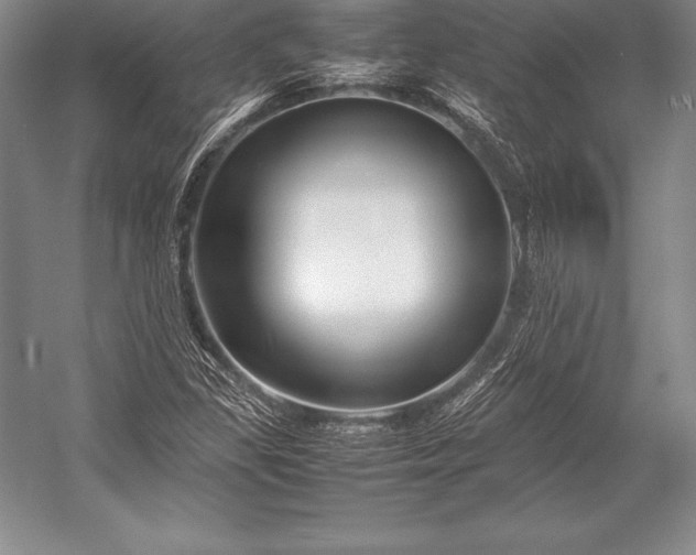 X0000052991309200507221210