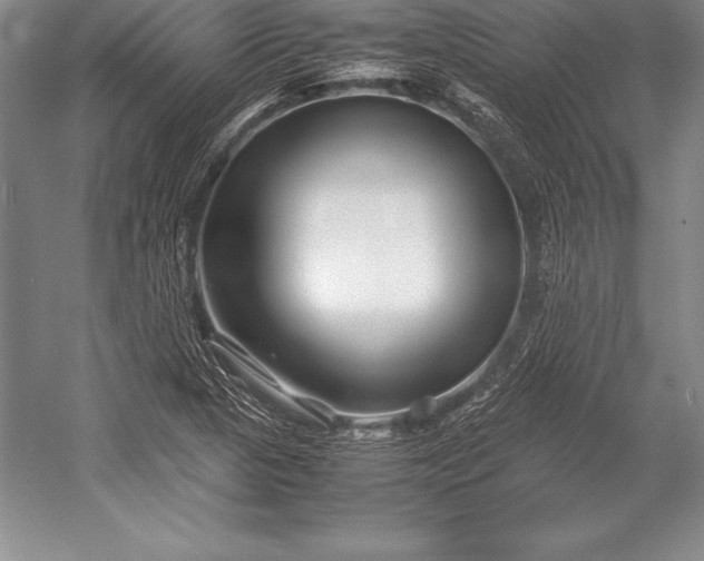 X0000052991313200507221210