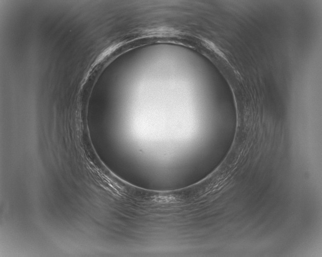 X0000052991315200507221210