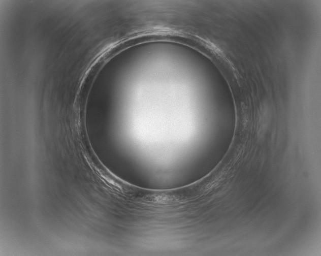X0000052991318200507221210