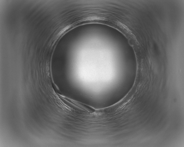 X0000052991321200507221210
