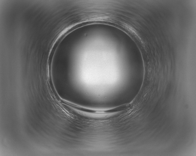 X0000052991324200507221210