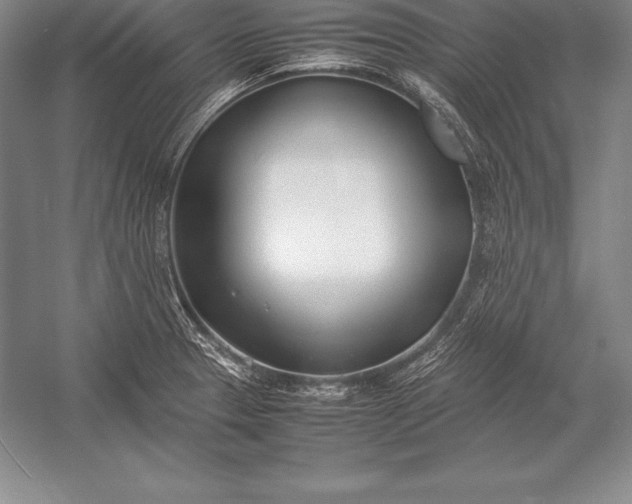 X0000052991329200507221210