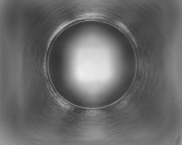 X0000052991336200507221210