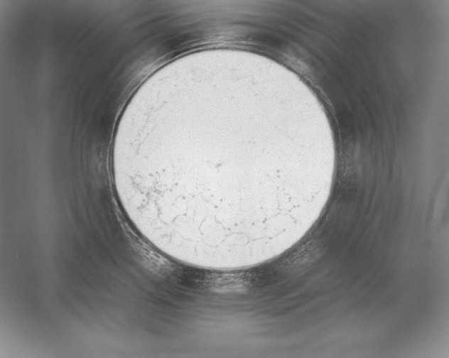 X0000052991338200507221210