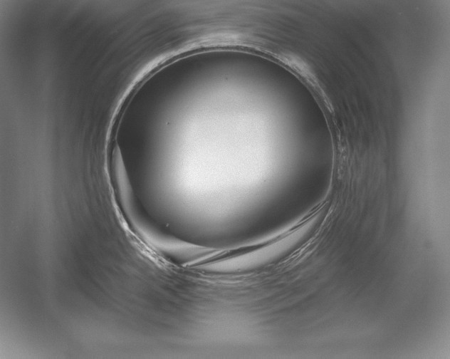 X0000052991342200507221211
