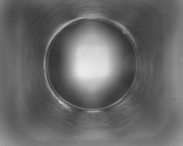 X0000052991343200507221211