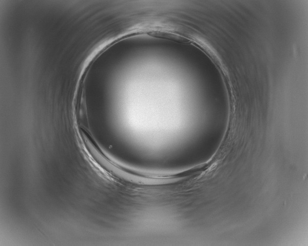 X0000052991344200507221211