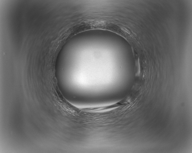 X0000052991345200507221210