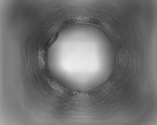 X0000052991346200507221210