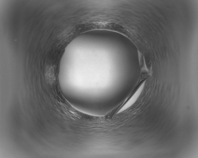 X0000052991347200507221210