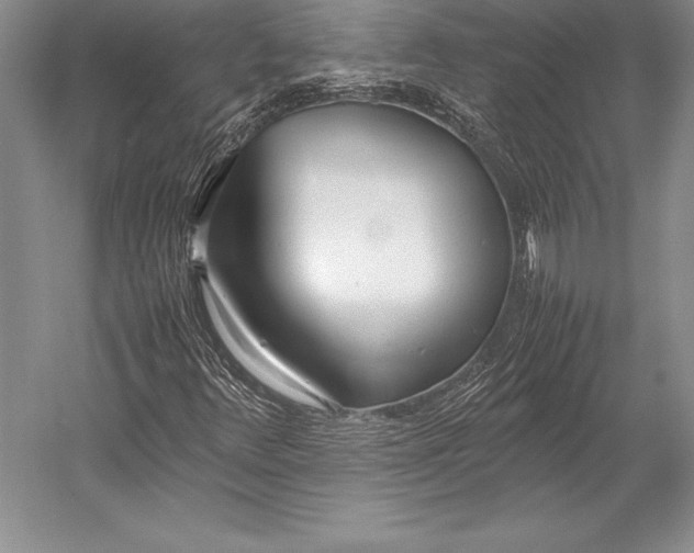 X0000052991348200507221210
