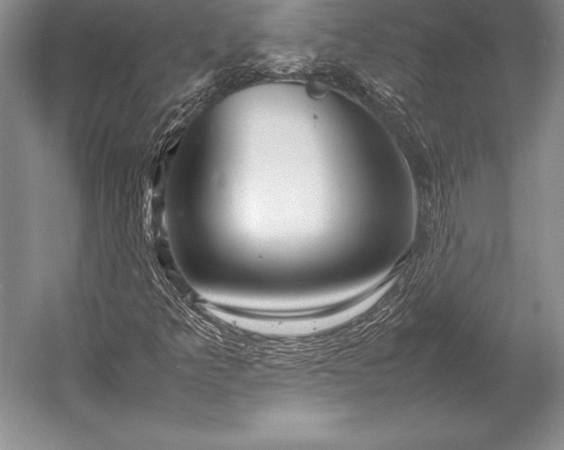X0000052991349200507221210