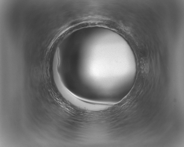 X0000052991352200507221210