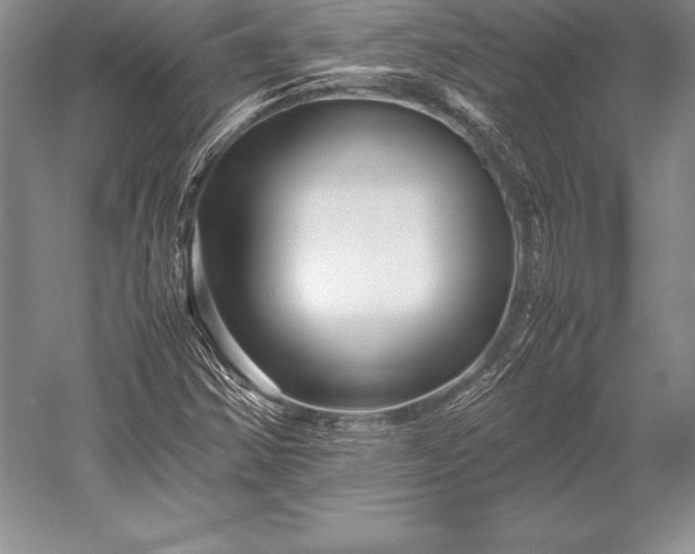 X0000052991354200507221210