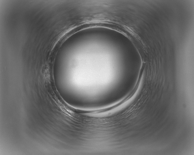 X0000052991356200507221210