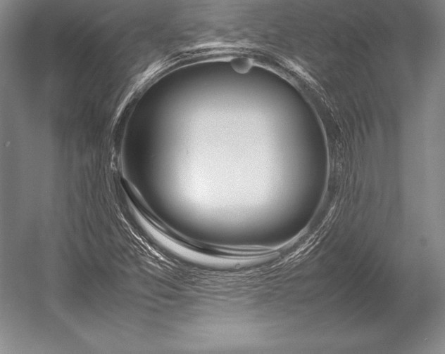 X0000052991357200507221210