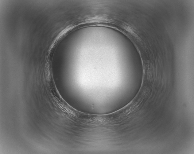 X0000052991358200507221210