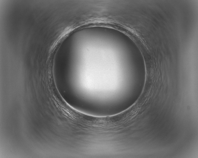 X0000052991359200507221209