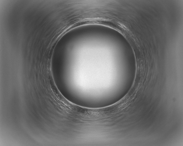 X0000052991361200507221209