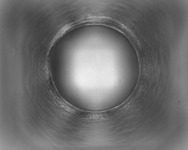 X0000052991362200507221209