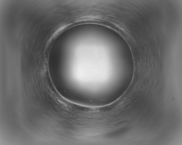 X0000052991363200507221209