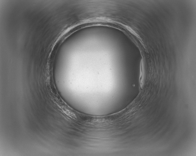X0000052991364200507221209