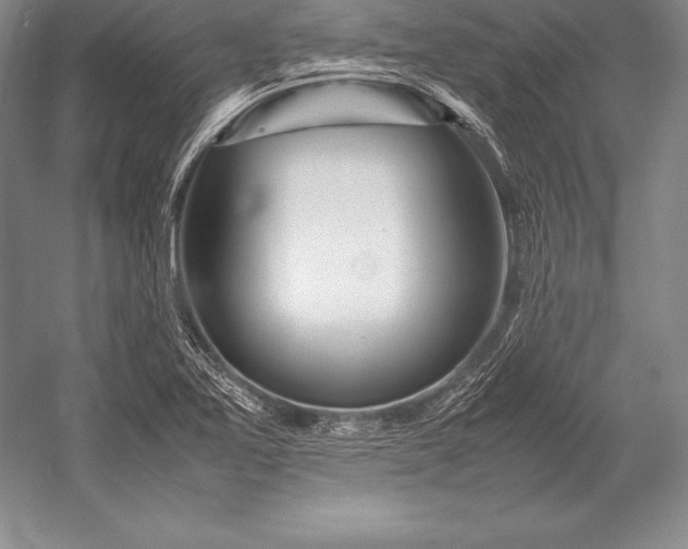 X0000052991365200507221209