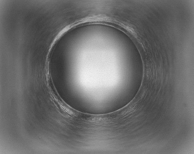 X0000052991366200507221209