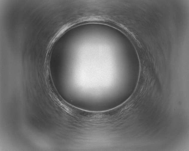 X0000052991367200507221209