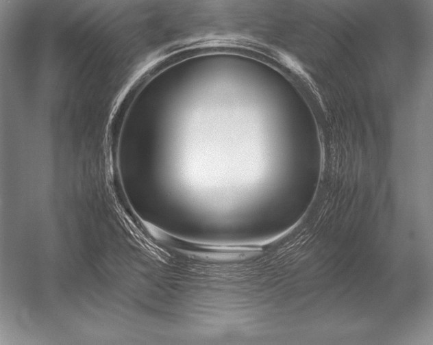 X0000052991368200507221209