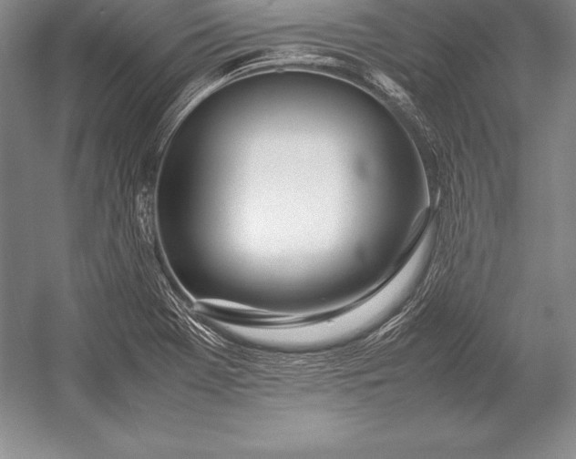 X0000052991369200507221209