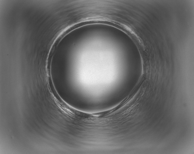 X0000052991372200507221209