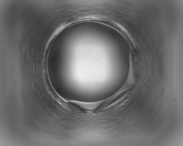 X0000052991373200507221209