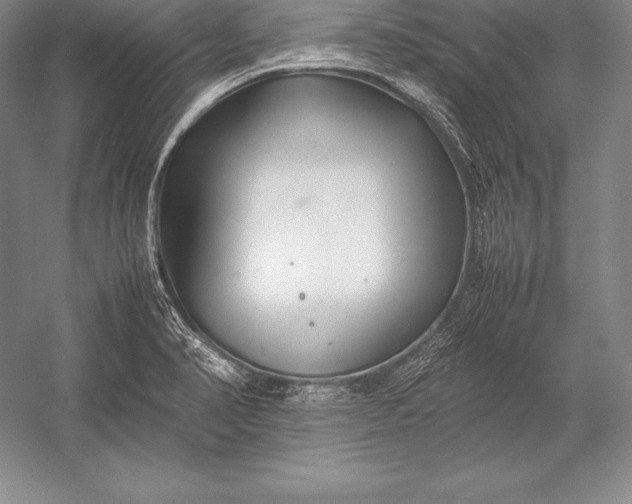 X0000052991374200507221209