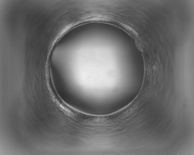 X0000052991375200507221209