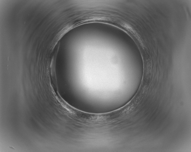 X0000052991377200507221209
