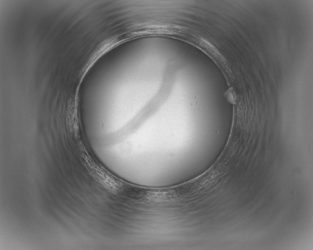 X0000052991378200507221209