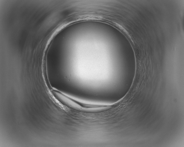 X0000052991379200507221209