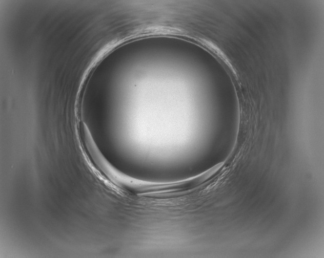 X0000052991381200507221209