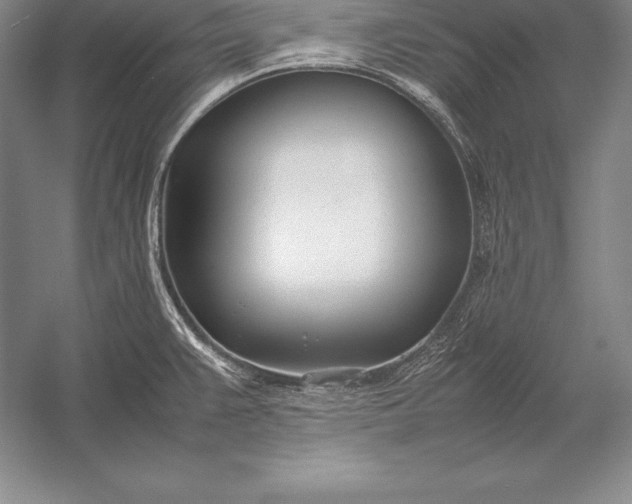 X0000052991383200507221209
