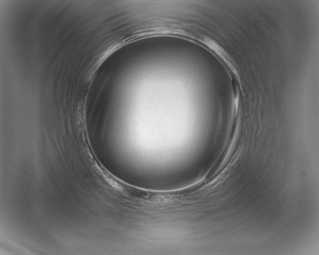 X0000052991385200507221209