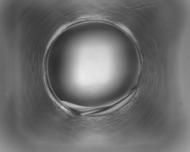 X0000052991389200507221209