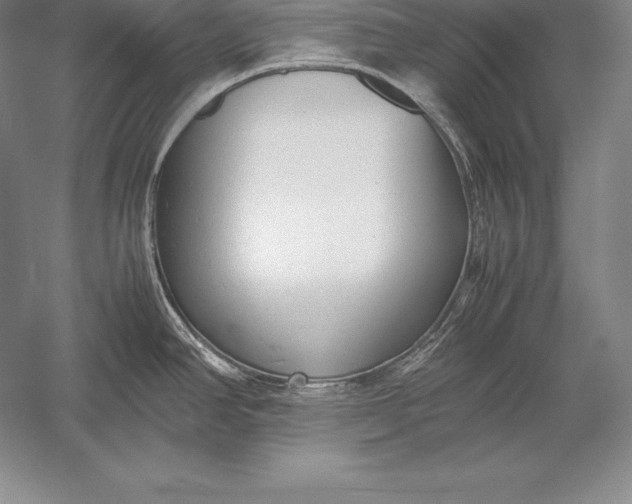 X0000052991390200507221209
