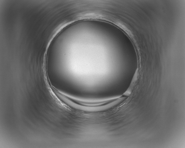 X0000052991392200507221209
