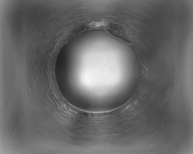 X0000052991393200507221208