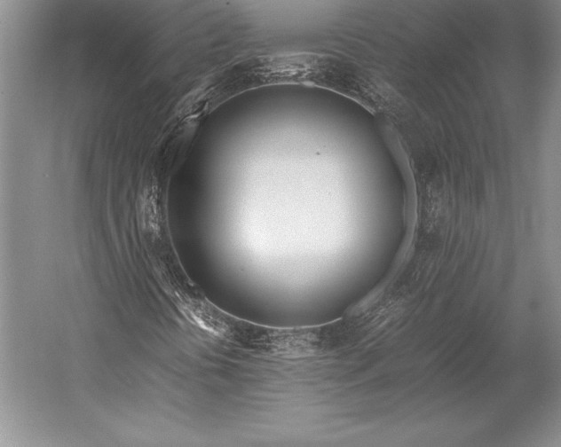 X0000052991394200507221208