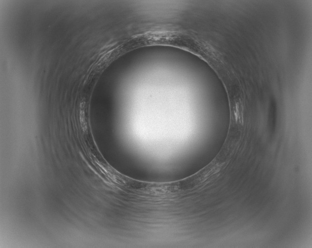 X0000052991396200507221208